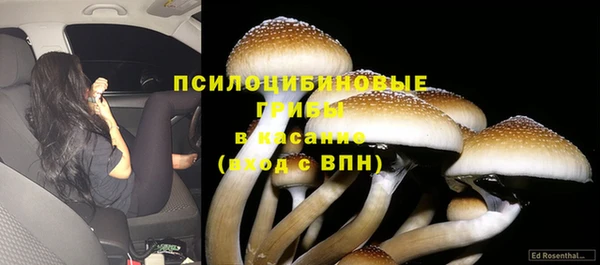 jwh Верхний Тагил