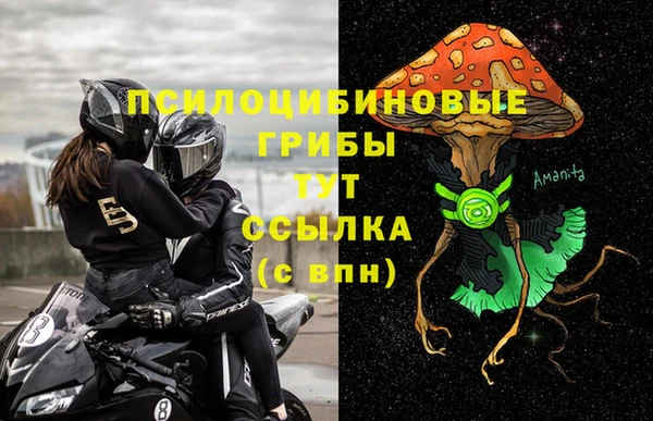 PSILOCYBIN Володарск