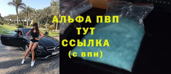 амф Сосновый Бор