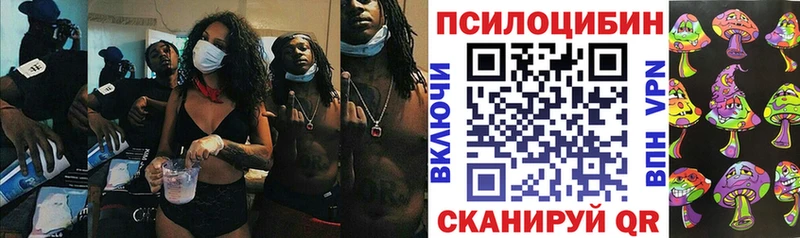 блэк спрут ссылки Егорьевск Галлюциногенные грибы MAGIC MUSHROOMS