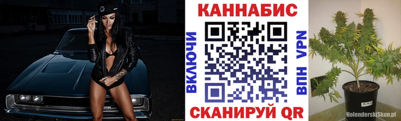shop официальный сайт  Егорьевск  Бошки марихуана THC 21%  хочу наркоту  MEGA ссылка 